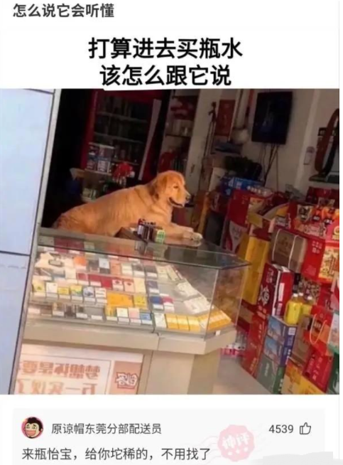 迷信还是讲究,亲戚送了一个这样的枕头,母亲看见马上扔掉了