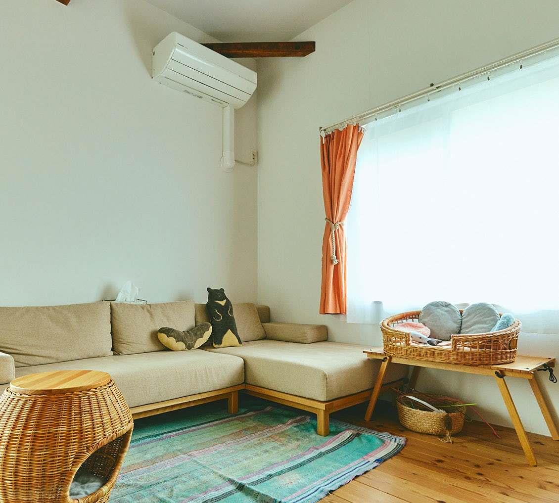 日本太太的家居照：把47年的老房子，改造成1人2猫的温馨之家