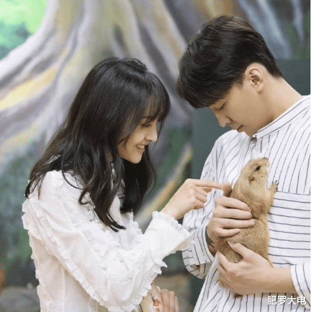 郑爽|张恒孩子不是郑爽亲生？目前已进行DNA鉴定，郑爽马上就能复出了