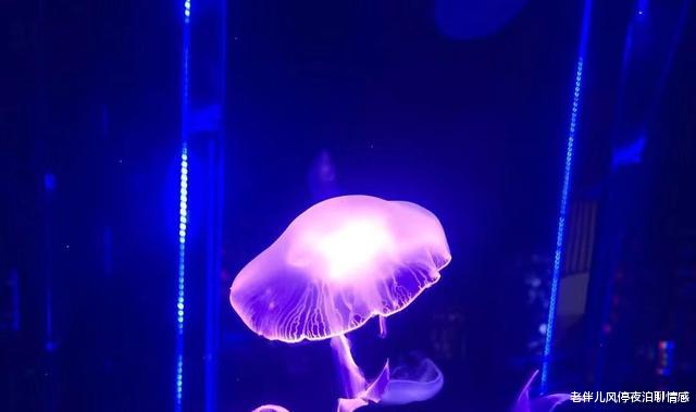 老伴儿风停夜泊聊情感|有福之人，不落无福之地：要幸福？那就这样活