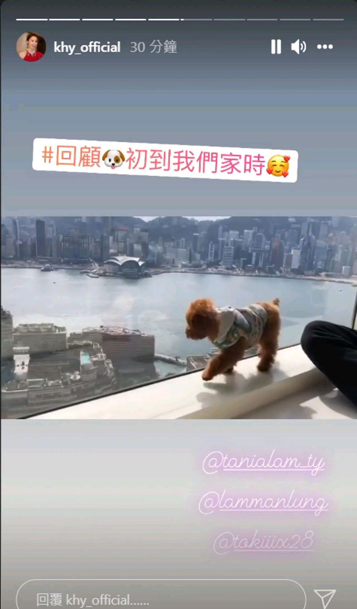 郭可盈|郭可盈4500万香港独立屋曝光，至今手握近2亿物业！