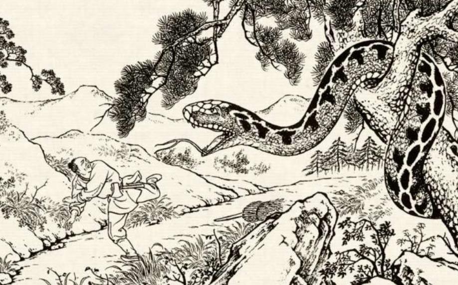 蛇真的会复仇吗?为什么说打蛇必须打死?