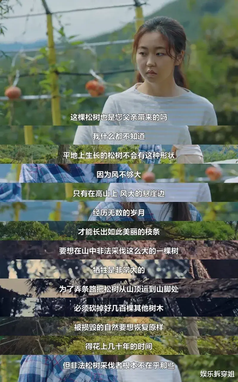 张亮|号称投资1.2亿的《智异山》，全智贤竟然翻车了