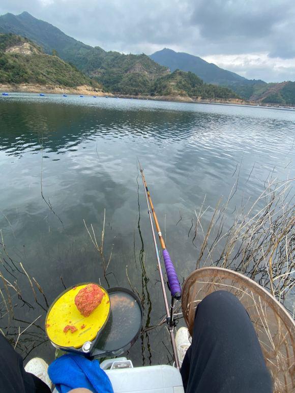 |野钓不要扎堆，一个人更容易爆护，攻略和技巧分享