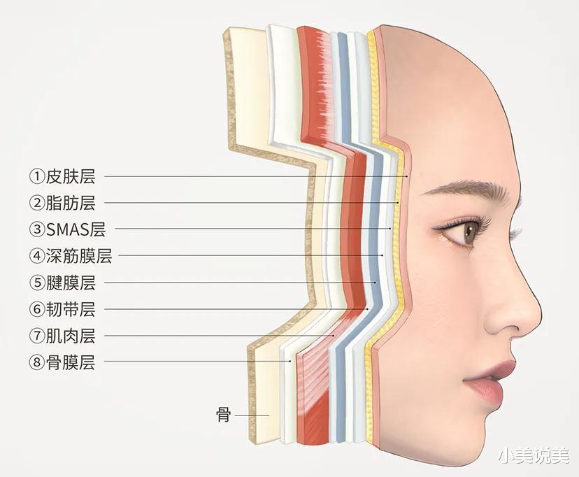 衰老|抗衰不输起跑线，知道这些你也能轻松延长美貌保质期
