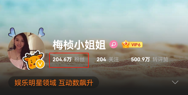 梅桢|网红梅桢官宣怀孕，与富二代老公相爱10年，曾因北大论文惹争议