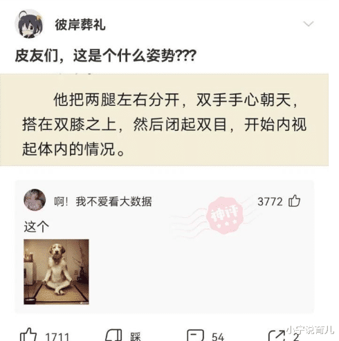 小宁说育儿|“这些真实的电影镜头，有多少人误认为是特效？”