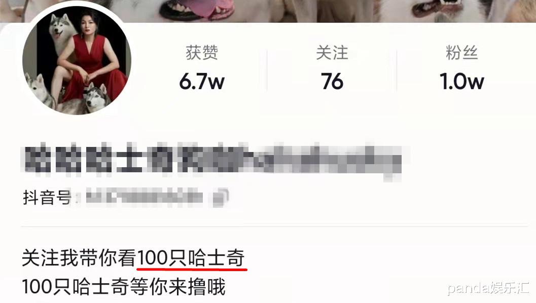 于月仙|“乌鸦”强人锁哈，58岁张耀扬被100只狗包围，场面太壮观！