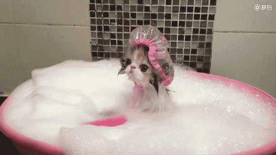 高马尾 秃如其来的你,会洗头么?连夜整出5条,教你洗头防脱