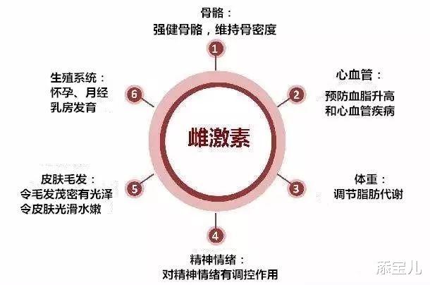 添宝儿|女性雌激素是什么