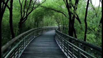 心语微情趣|别轻易退后,因为人生无路可退