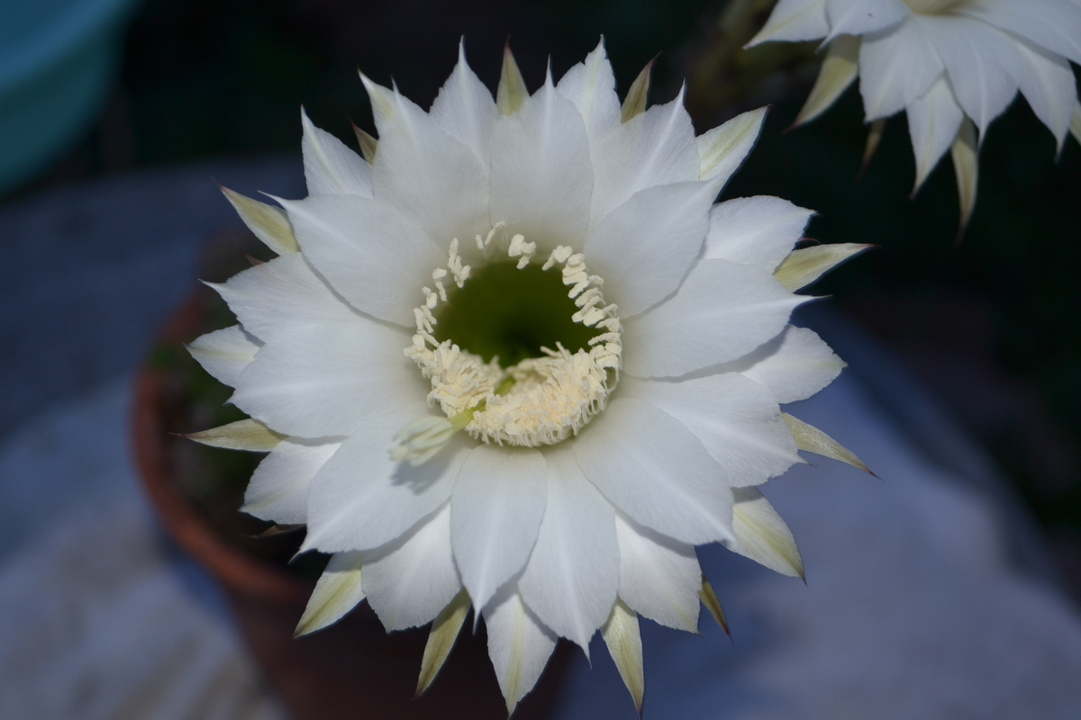 遇见小媛 你知道吗?世界正在偷偷奖励读书的人