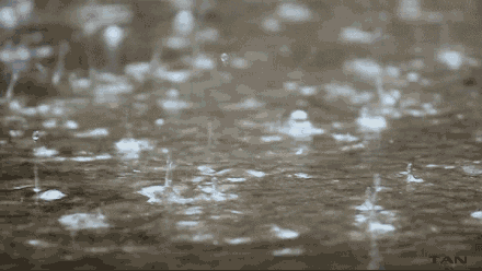 暴雨|夏天下雨天哪四种情况是不能出行钓鱼的，经验这谈