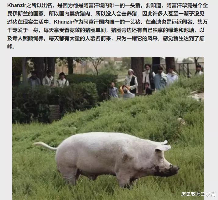美国|阿富汗冷知识：最后1条，很多人不知道