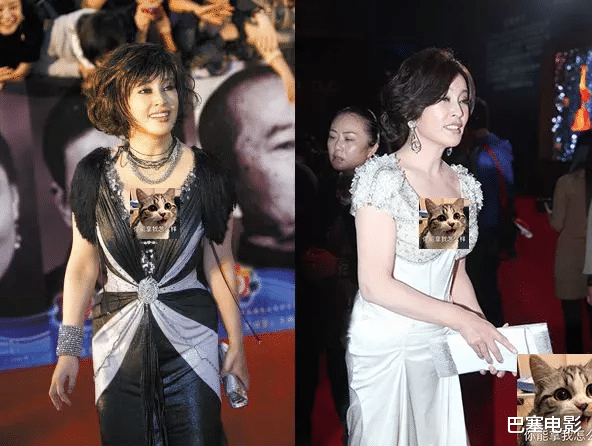 康辉|中年女明星红毯“作妖记”，社会你大姐，没啥不敢穿