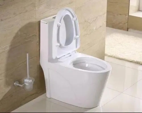 夺命马桶，你家里有吗？