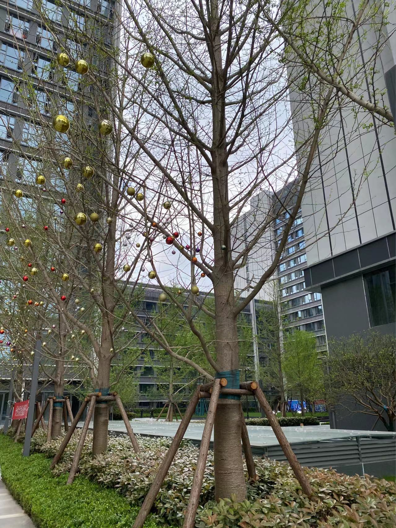 棚户区改造|到底是现在买房还是等年底，哪个时候更合适？