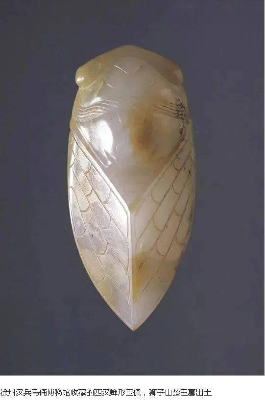 雕刻|浅论汉代玉蝉