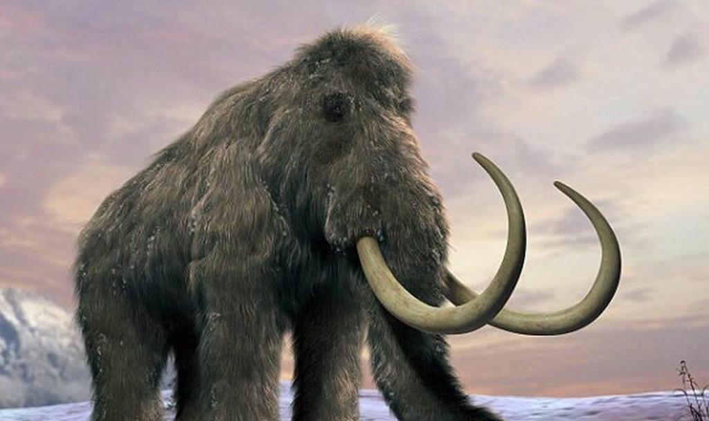猛犸象|猛犸集体消失，是人类过度狩猎吗？一万年前究竟发生了什么？