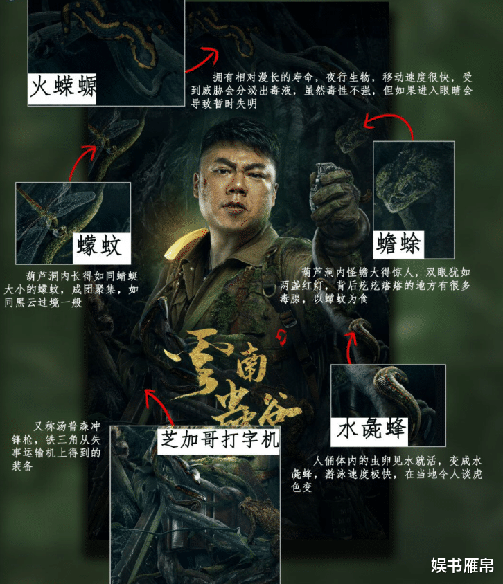 长津湖|《云南虫谷》官宣定档，主角海报信息量大，让人开心不起来