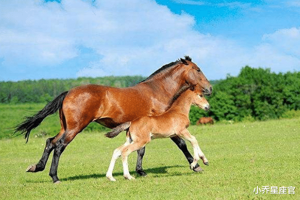 生肖|10月，再苦也能翻身的三大生肖，职场顺遂，前程似锦，生活苦尽甜来