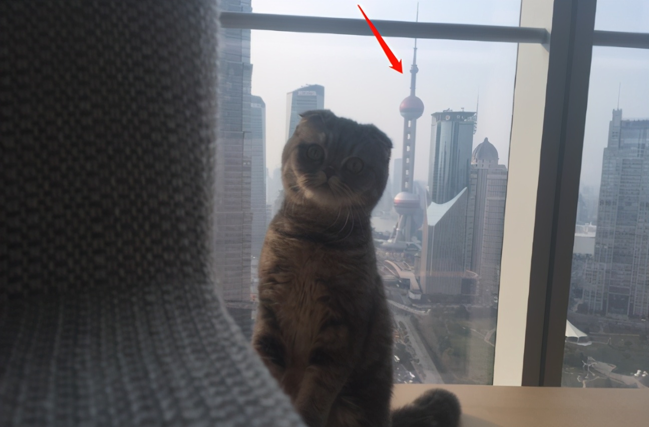 Angelababy|杨颖晒出自己的豪宅，用东方明珠当电视墙，做法太机智了