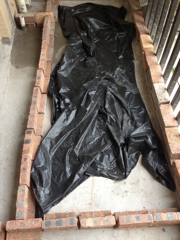 |太有才了!朋友在自家阳台用红砖砌了一个鱼池,确实很漂亮!