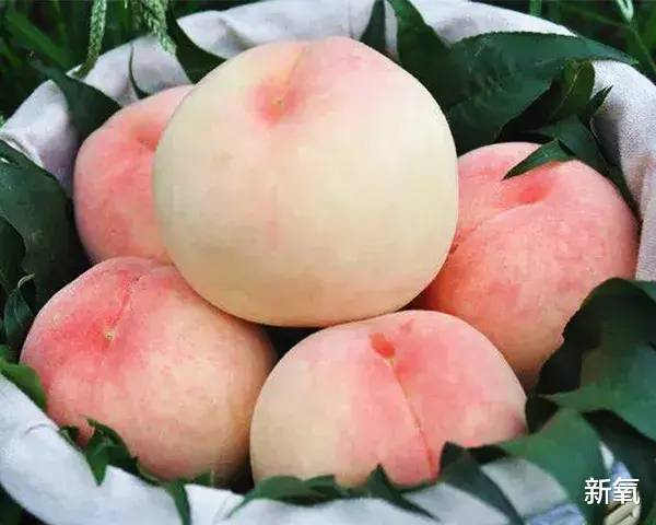 华晨宇|火爆的仙侠剧，揭示了一种失落很久的美