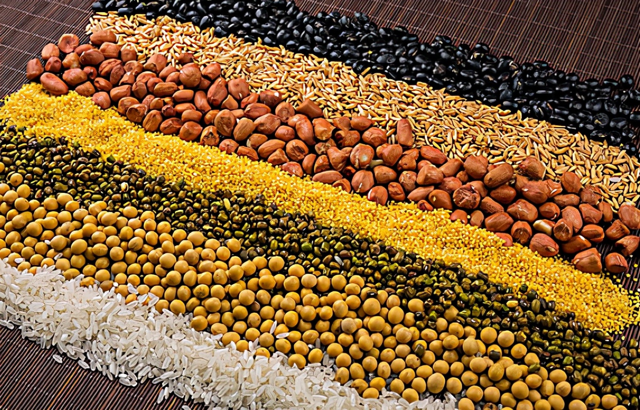 胃病|世卫组织呼吁:“1粗粮”或是胃病“加速器”,不想胃伤透,趁早扔