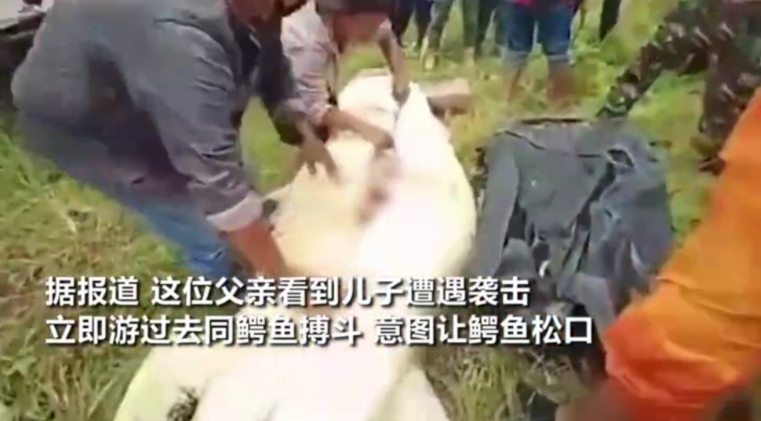 |父亲带着儿子去钓鱼，8岁儿童惨遭鳄鱼一口吞下，现场十分悲惨