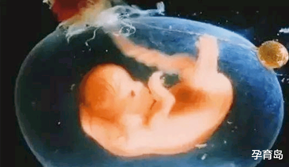 孕育岛|怀孕后总是想“喝水”，多半是因为这几点原因，孕妈无需过分担心