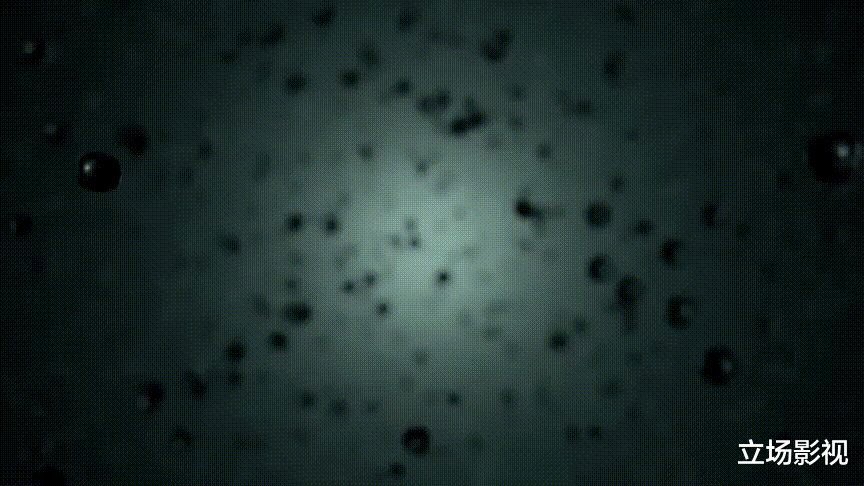 釜山行|中国版《釜山行》上映,“虫奴”设定引热议,观众:5分钟没看完