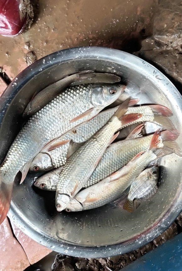 广西|壮观!广西一河道数百名钓鱼人挤坐一起,垂钓盛行是消费降级?