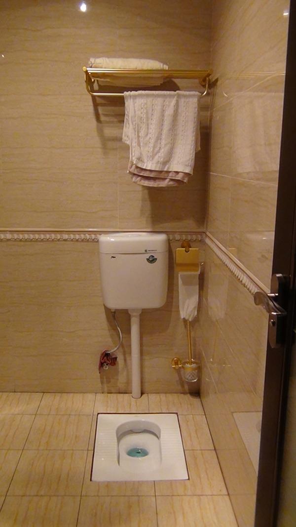 |卫生间用蹲便，除了没那么高档，用起来没毛病啊，为什么会被嘲笑