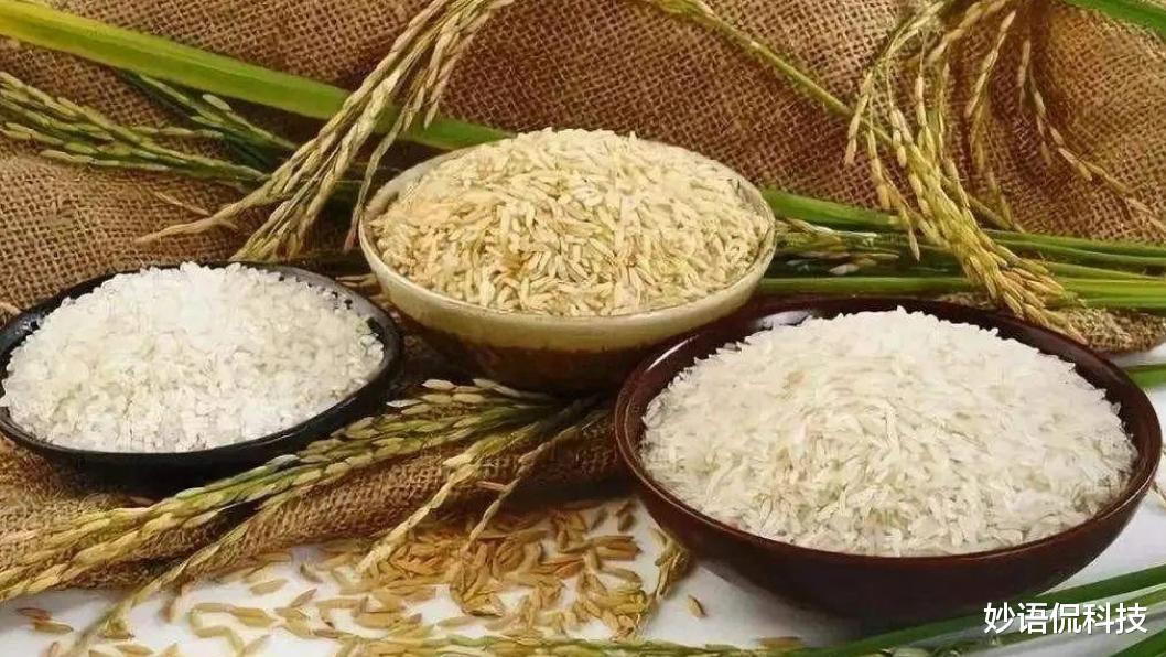 粮价 又一生活必需品涨价了,将影响到每个人,网友:还有什么不涨?