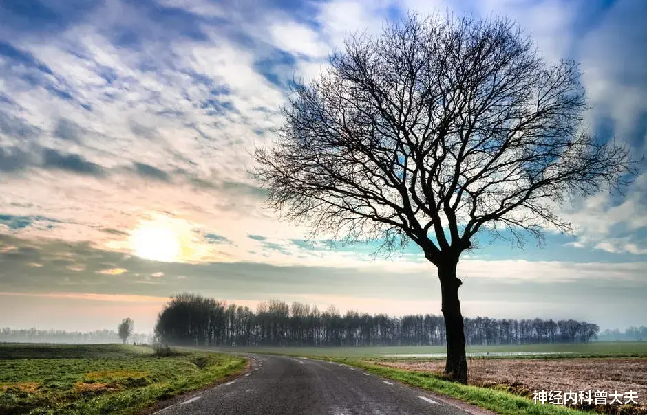 神经内科曾大夫 出现什么样的胸痛需要立马赶往医院？这三种疾病导致的胸痛会危及生命