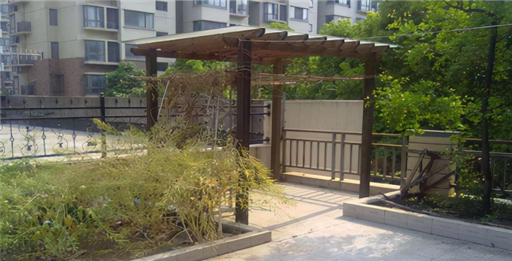 |为什么说一楼带院的高层住宅不能住？过来人告诉你真实感受！