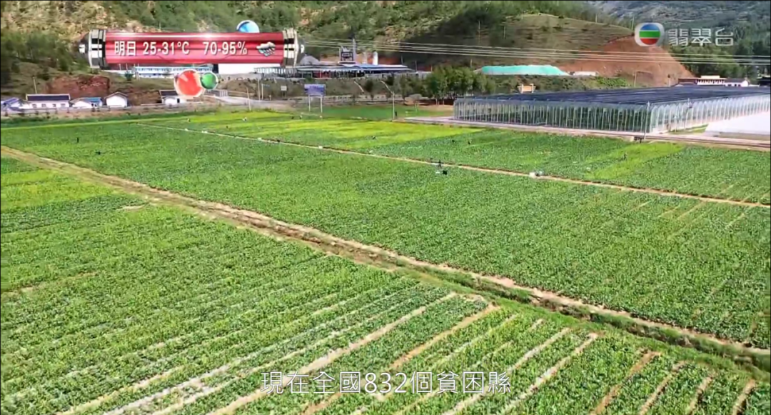 乔任梁|今年最高分，TVB又放大招了