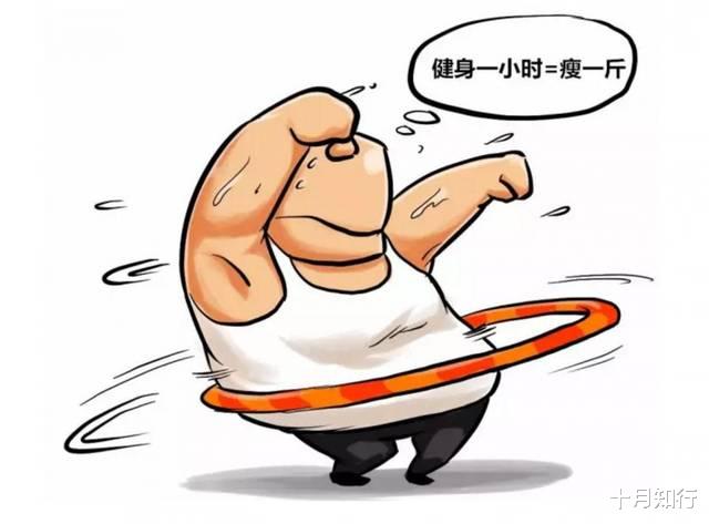 运动 为什么总是减肥困难，或者是很容易胖？真的是易胖体质吗？