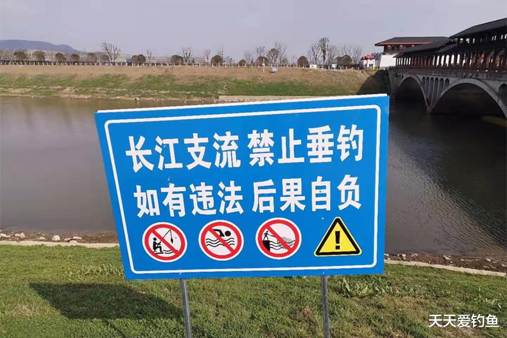 钓鱼|禁渔、限钓两周年,各位钓鱼人感受如何?还有鱼可钓吗?