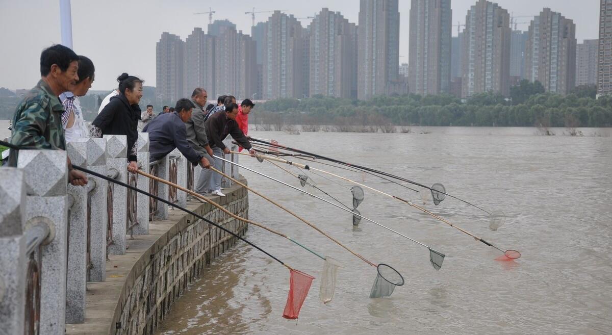 巴西龟|钓鱼遇到放生佬:身披“黄马褂”,对着河面念叨,网友:违法了