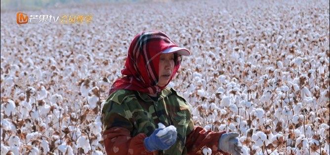 张智霖|张智霖上综艺大尴尬,叫一个比自己大5岁的人阿姨!