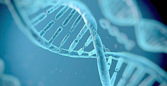 理论上人类的极限寿命是多少岁?听完科学家的解释明白了