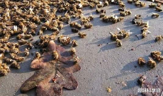 爱因斯坦 爱因斯坦预言，2060年人类将因瘟疫和战争毁灭？有何事实根据？