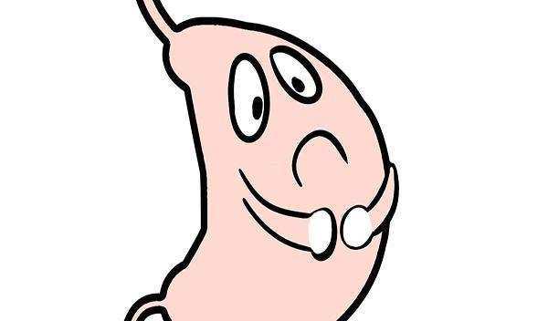 节食减肥|吃太多，会不会把胃部撑大？节食会让胃越来越小？告诉你答案