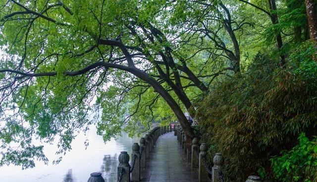 富春江 以“奇山异水”著称,因一幅画而闻名,这里是富春江最美的一段