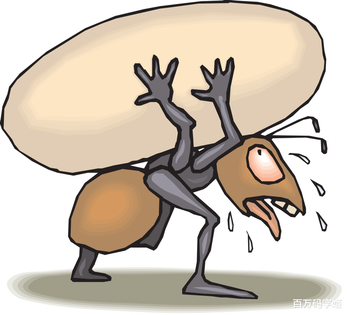 退役士兵|“七零后中年人，找工作真难”：50岁，人生开启“失业元年”