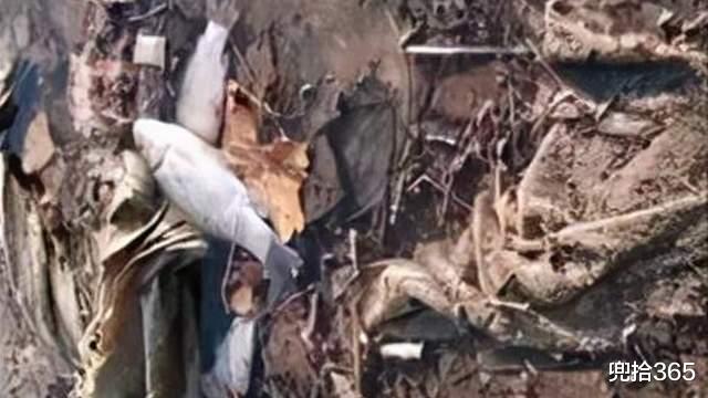 徐州|男子寒冬野钓一无所获,回家路上却遇上稀罕事,兴奋之余又疑惑了 12