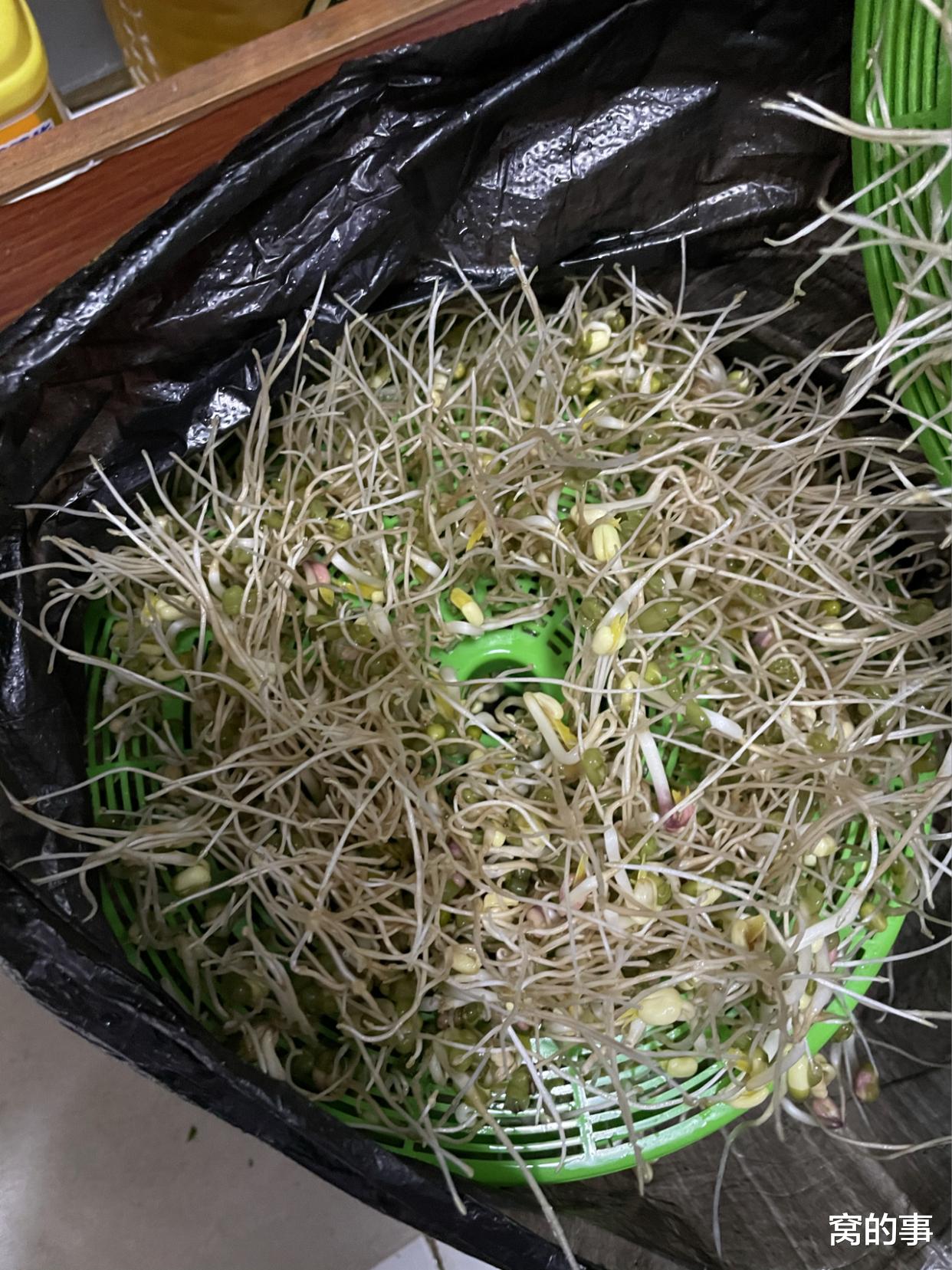 洗碗机|过来人的忠告：这8件家居用品，建议谨慎入手，不实用还积灰