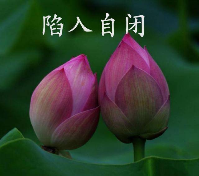 在逃少女含泪说情感|男生学会这两点，逆风也能翻盘，女生不再把你当成老好人